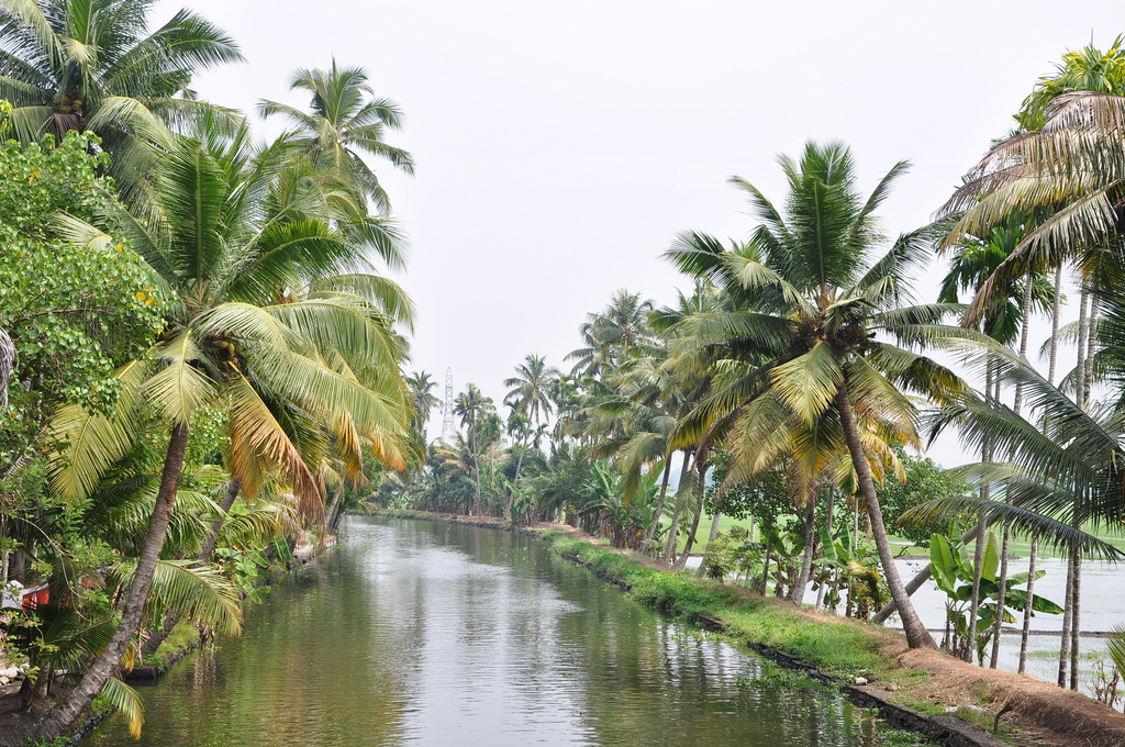 Kerala 1.jpg