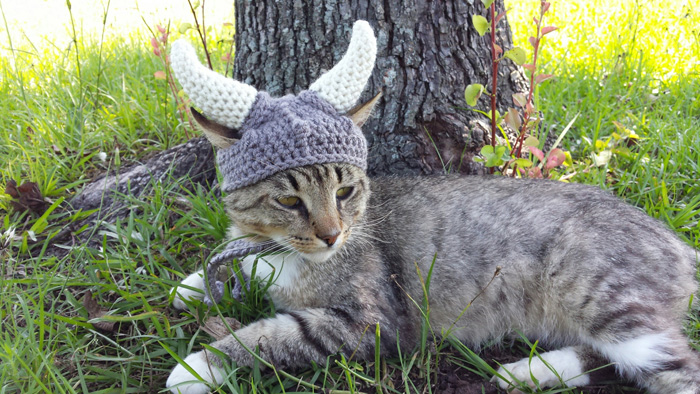 kitty-cat-viking-hat-04.jpg