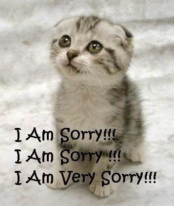 Kitty-very-sorry.jpg