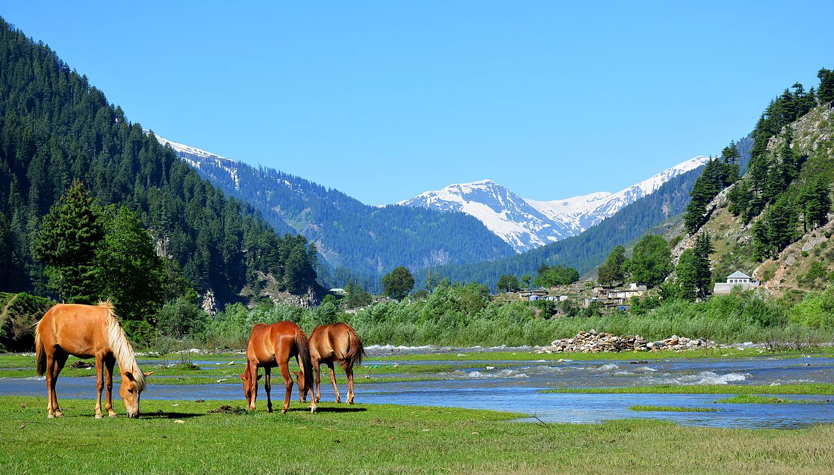 Kunhar_and_wild_horses.jpg