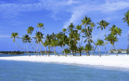 lakshadweep-islands-wallpaper.jpg