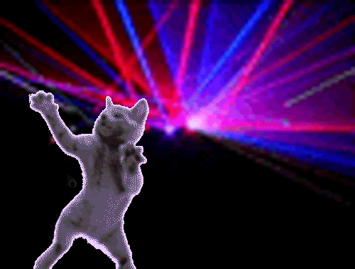 laser-dancer-cat.gif