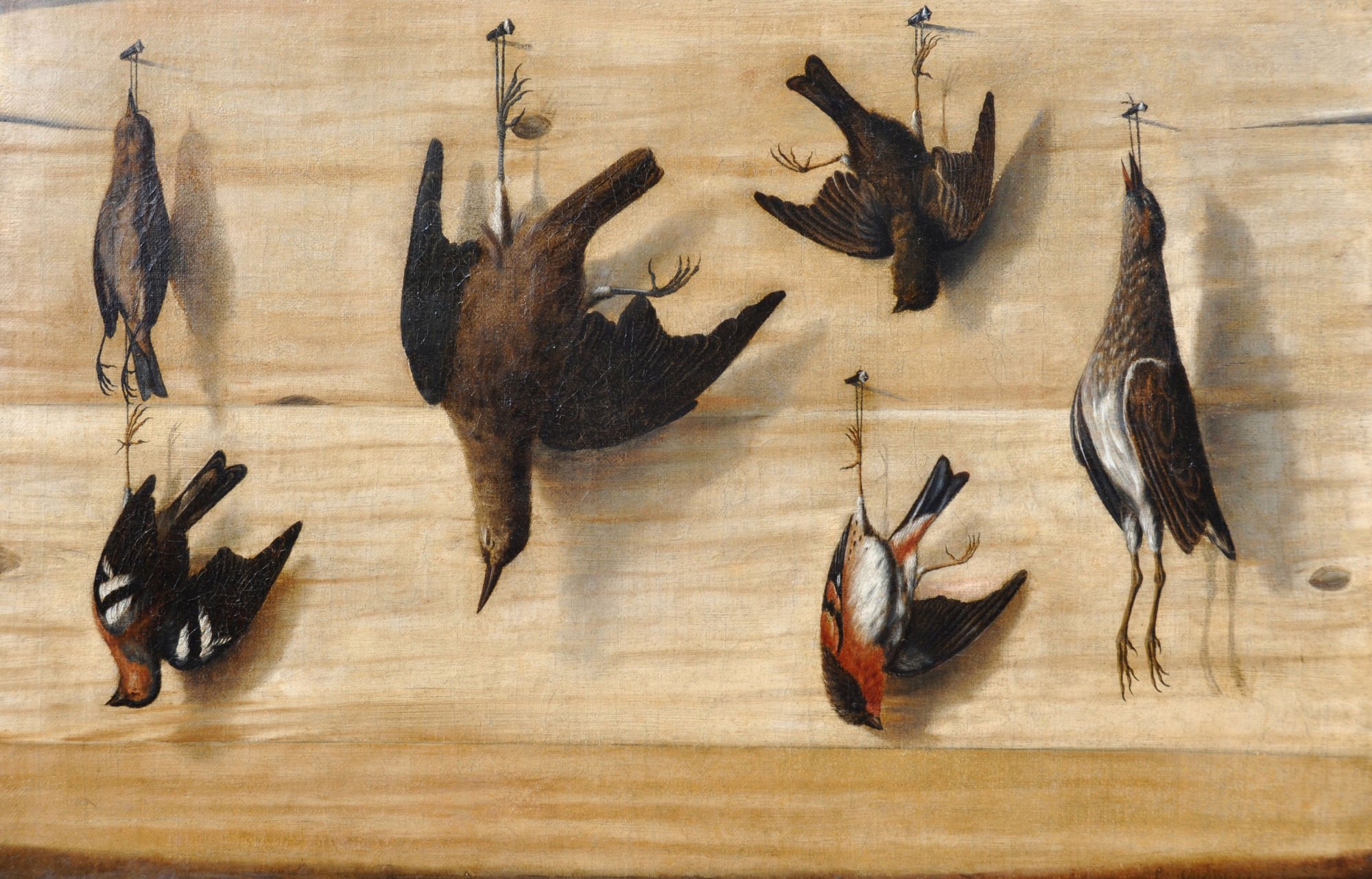 Laurent_Geedts_-_Trompe_l’oeil_still_life_of_birds_hanging_from_nails_against_a_wooden_wall.jpg