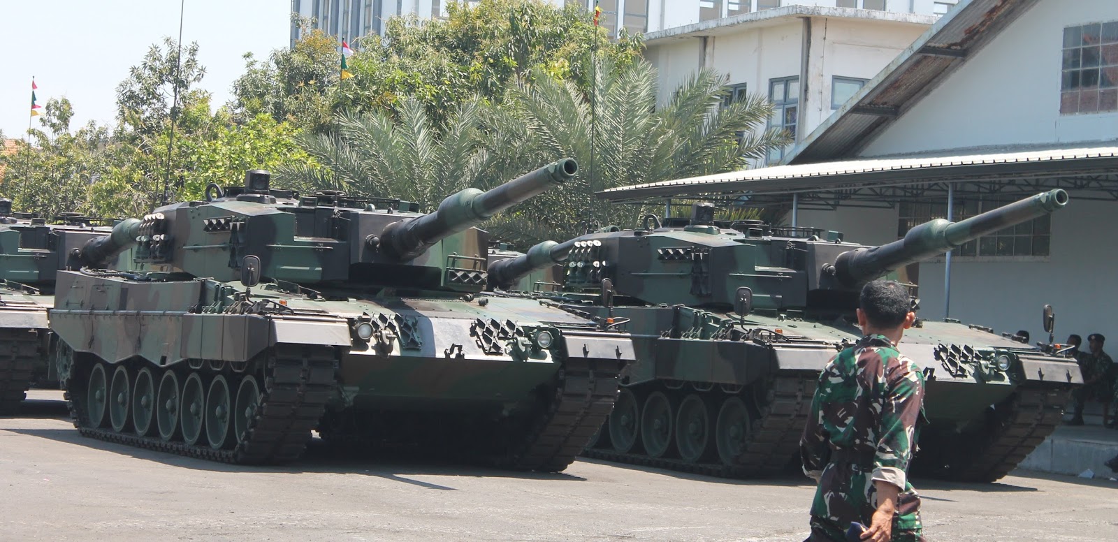 Leopard TNI AD.jpeg