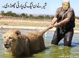 LionLeftPMLN.jpg