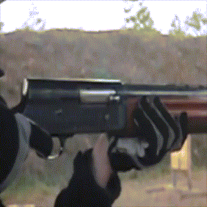 long recoil-1.gif