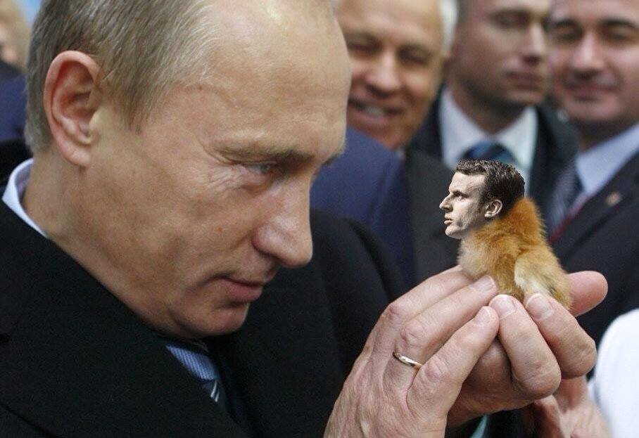 macron.jpg