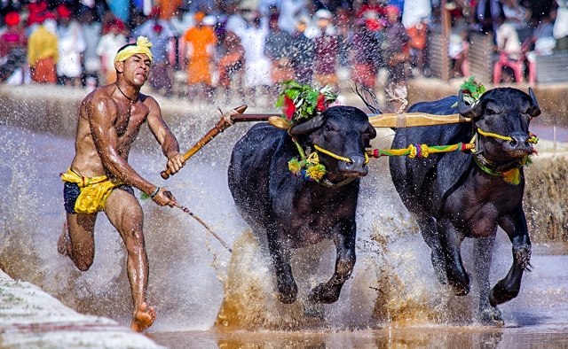 may1410kambala1.jpg