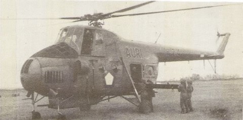 mi-4-auri-480x237.jpg