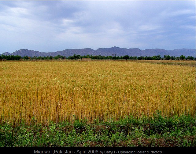 mianwali.jpg