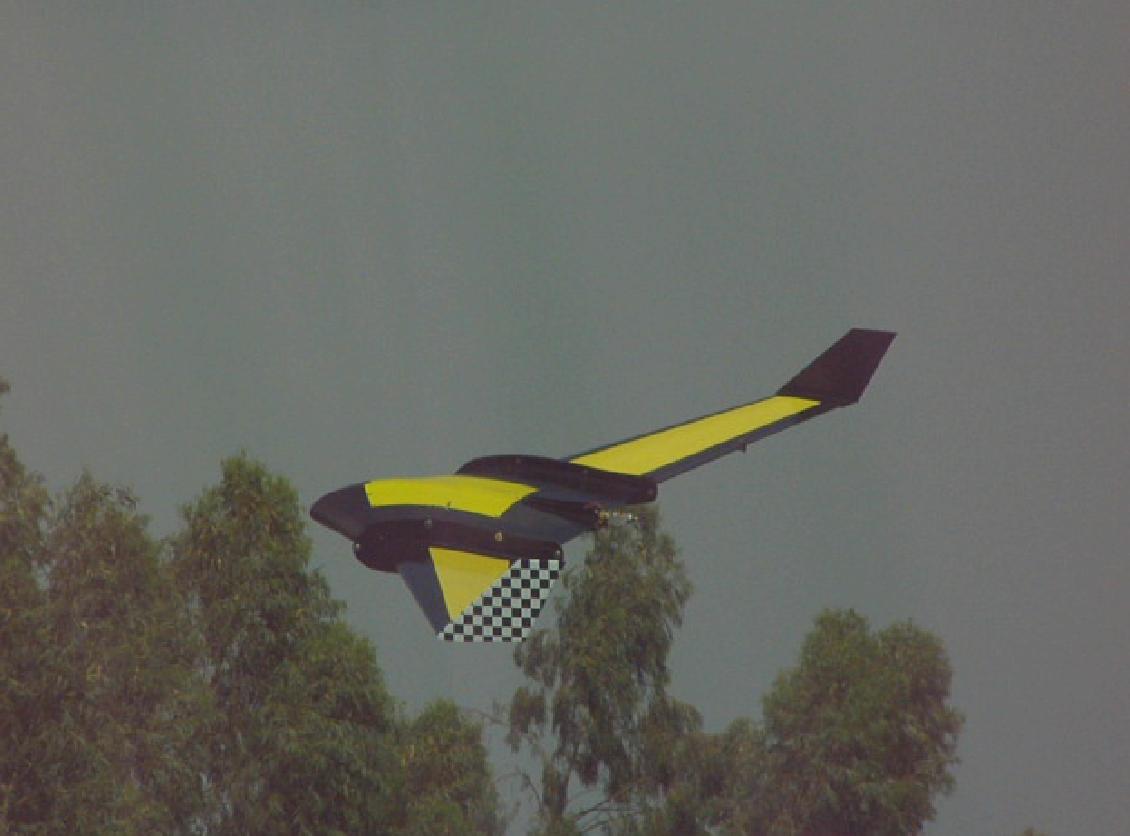 Mini UAV - Stingray.jpg