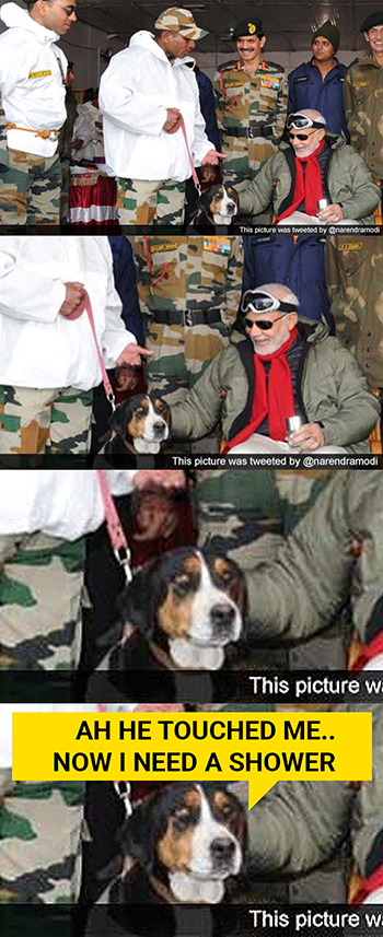 modi-dog.png