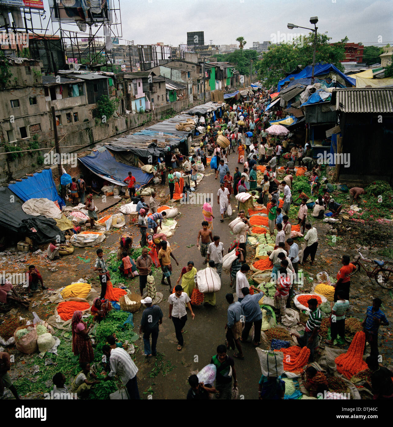 mullick-ghat-flower-market-in-kolkata-calcutta-in-west-bengal-in-india-DTJ46C.jpg