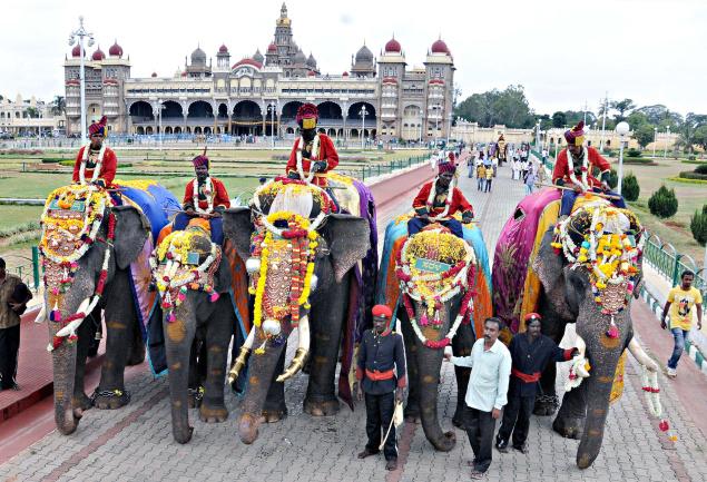mysore elephants.jpg