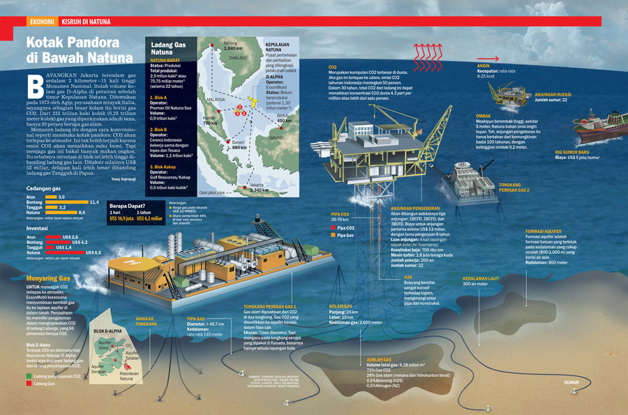 Natuna_Island_Infographic_by_sayumimichisige[1].jpg