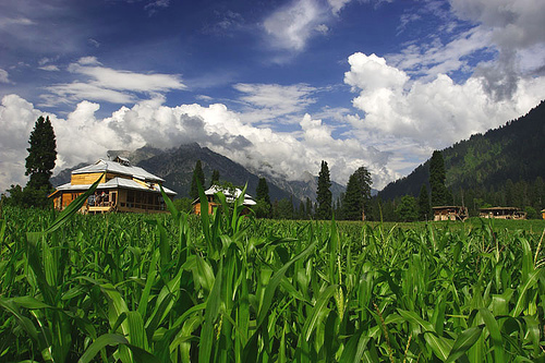 neelam valley4.jpg