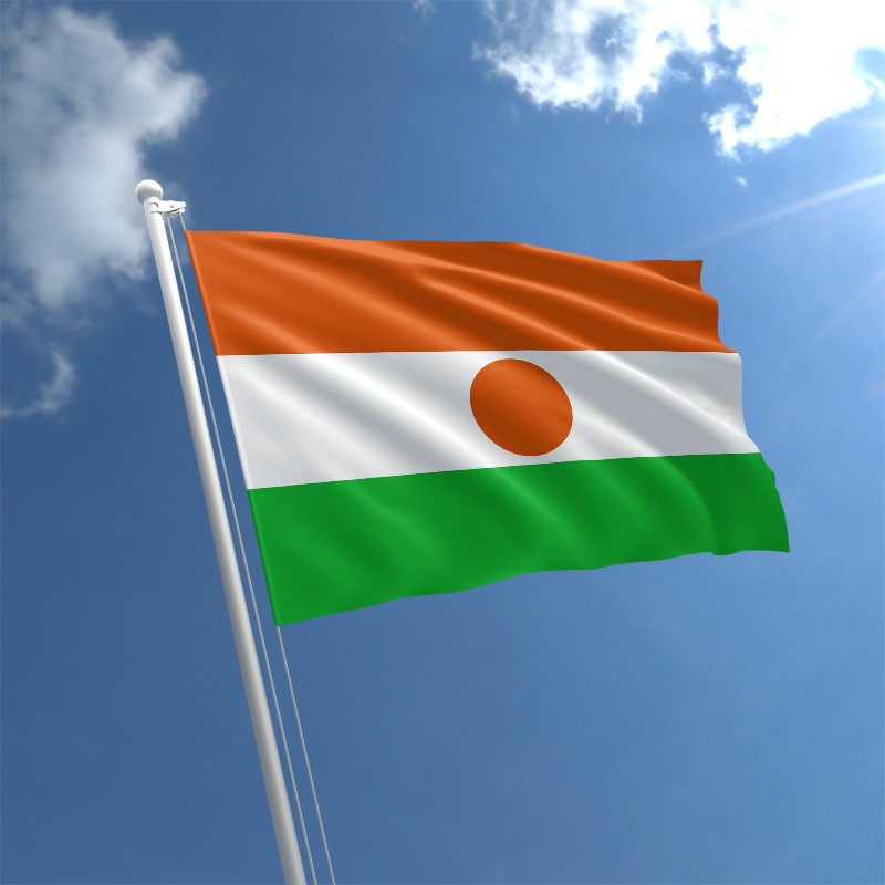 niger-flag-std.jpg