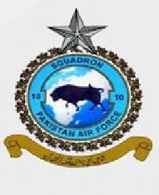 No 10 Sqn.png