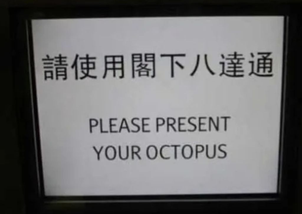 Octopus.jpg