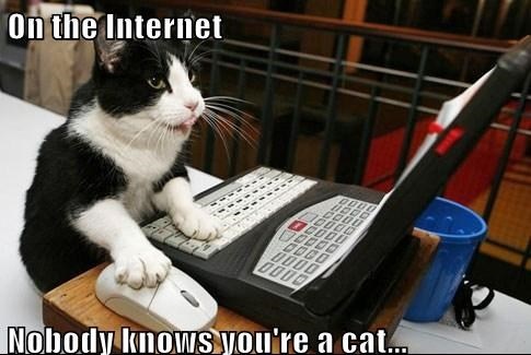 on-the-internet-nobody-knows-youre-a-cat.jpg