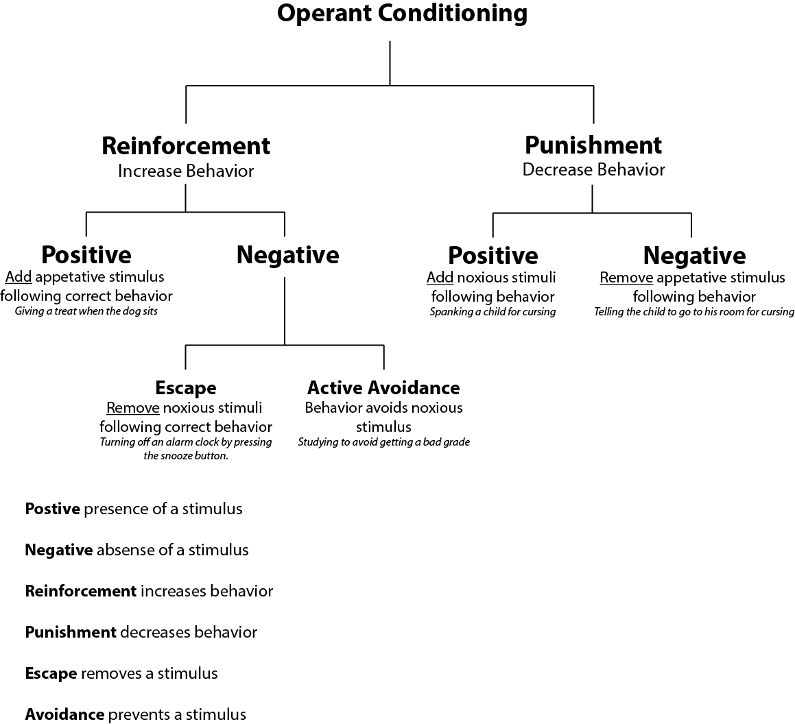 Operant_conditioning_diagram.png