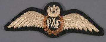 PAF Pilot wings.jpg