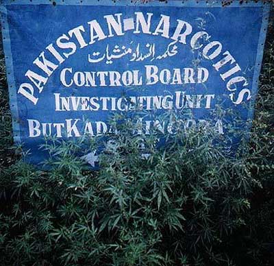 pakistan-narcotics-control-board.jpg