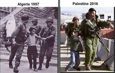 palestine 6 1 16 algeria vs ghaza.jpg