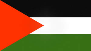 palestineflag.jpg
