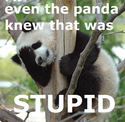 panda-facepalm1.jpg