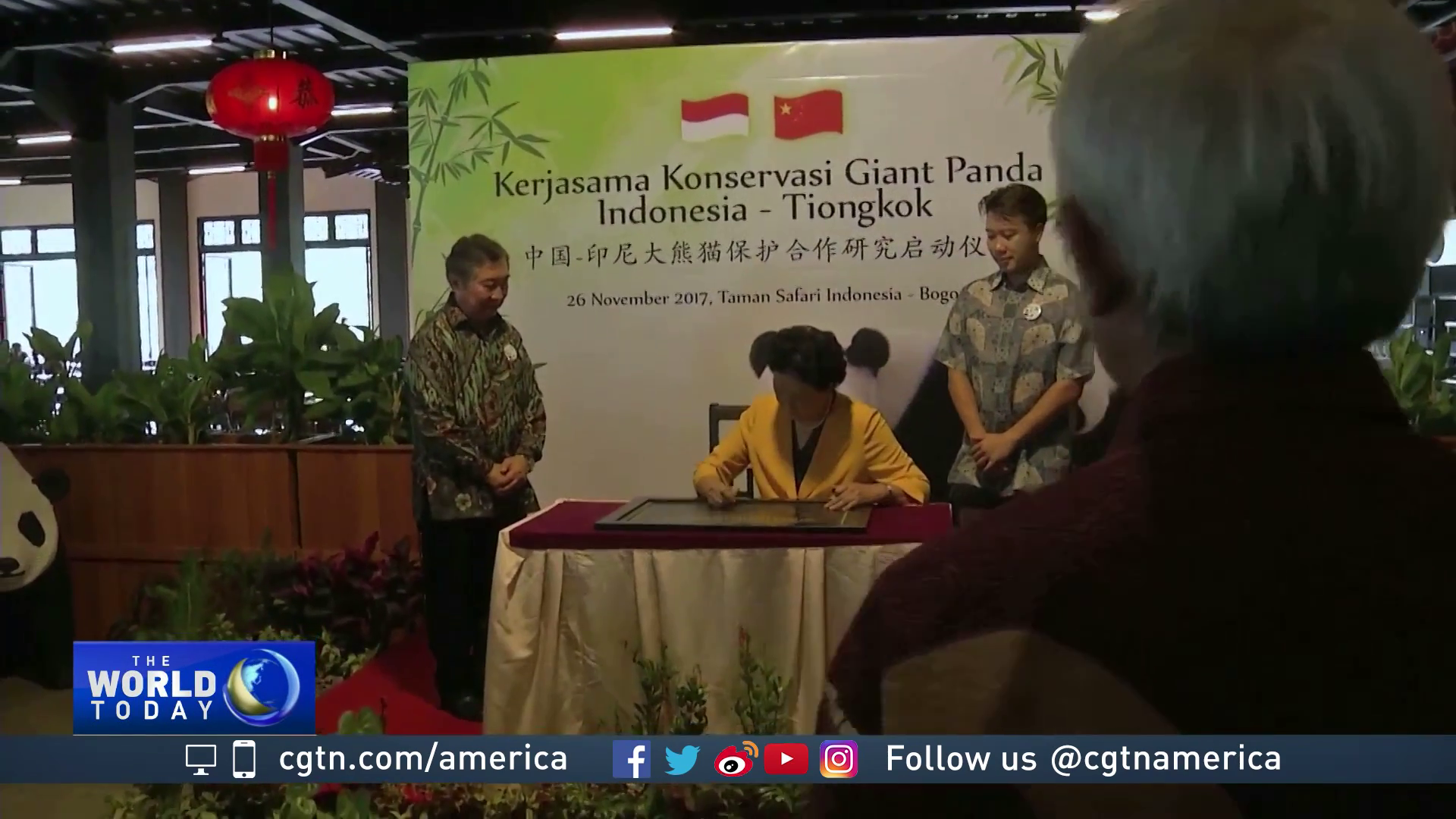 Panda in Indonesia - officiated by Chinese Vice Premier Liu Yandong 20171126 -02.png