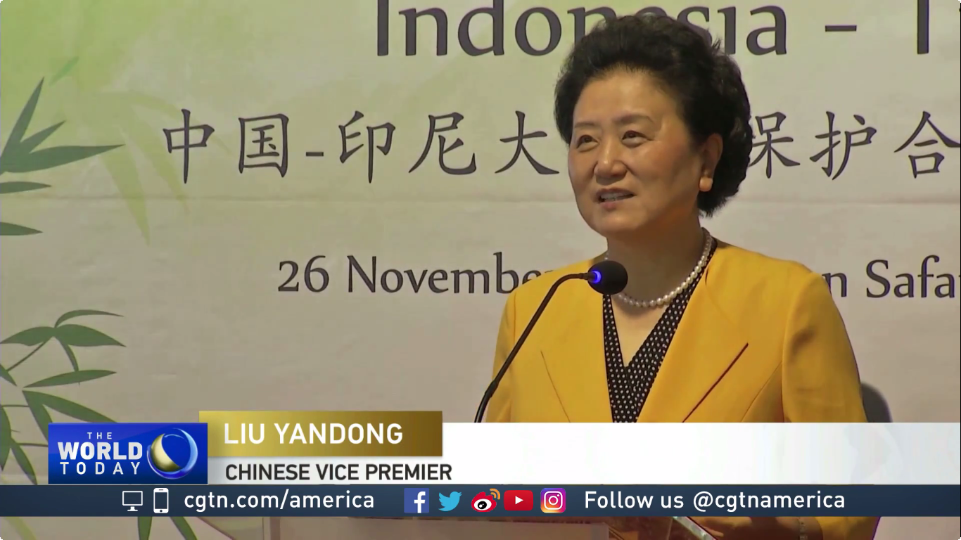 Panda in Indonesia - officiated by Chinese Vice Premier Liu Yandong 20171126.png