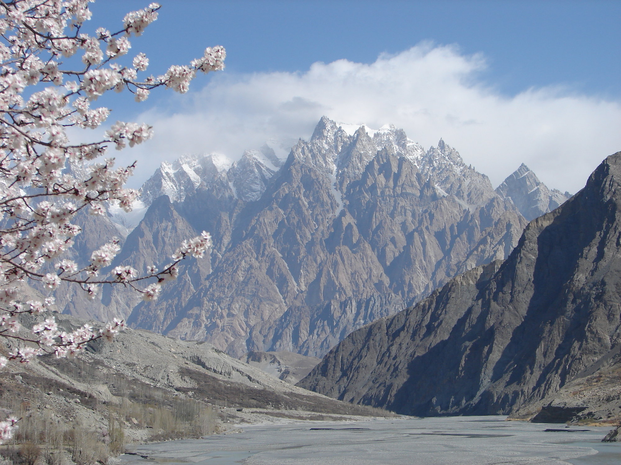 passu.JPG