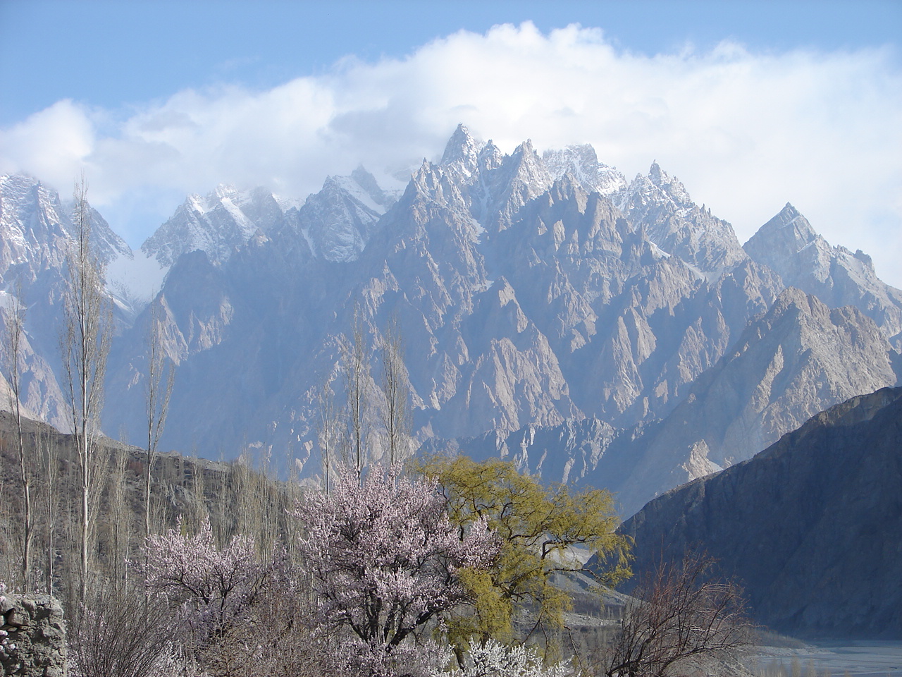 passu1.JPG