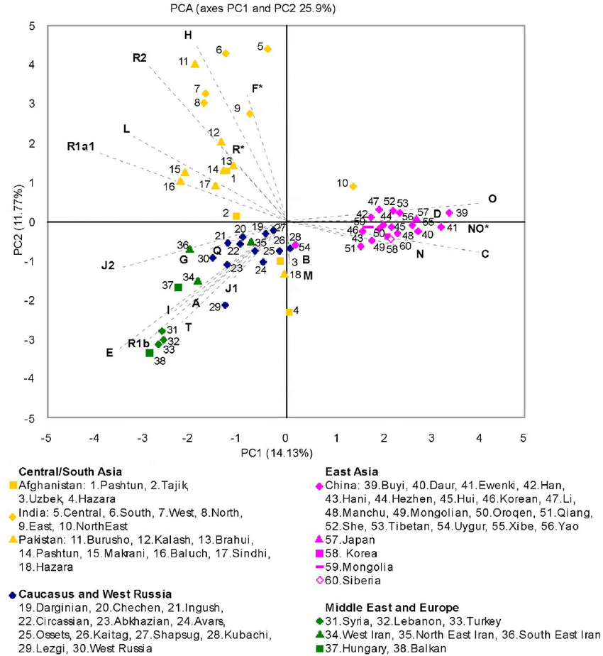 PCA-derived-from-Y-chromosomal-haplogroup-frequencies-The-two-leading-principal.png