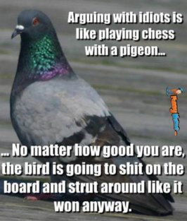 pigeon.png