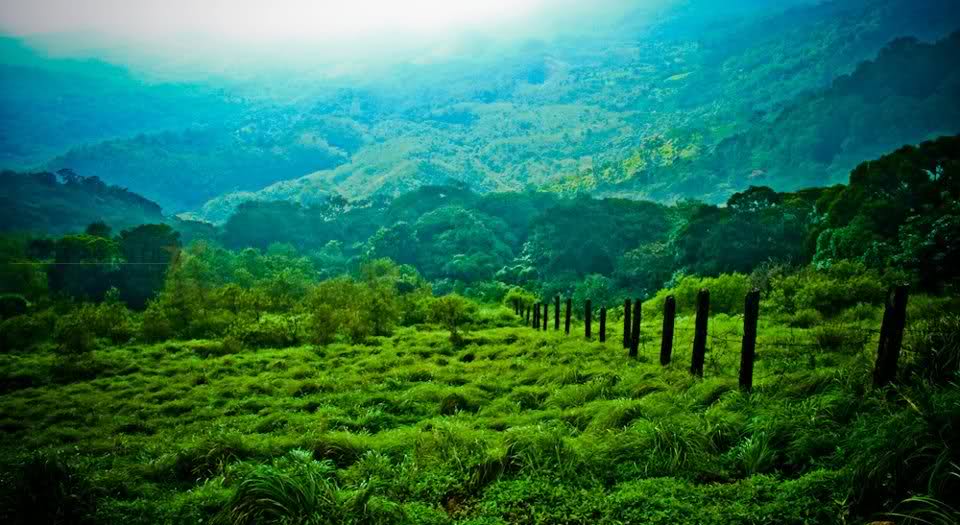 Ponmudi.jpg