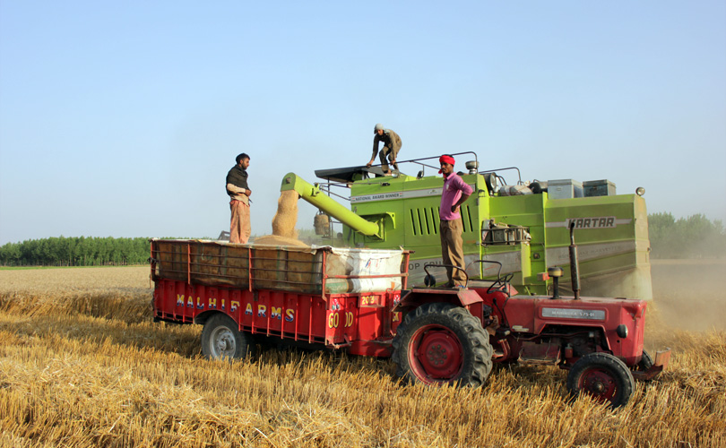 Punjab-Combine-Harvester.jpg