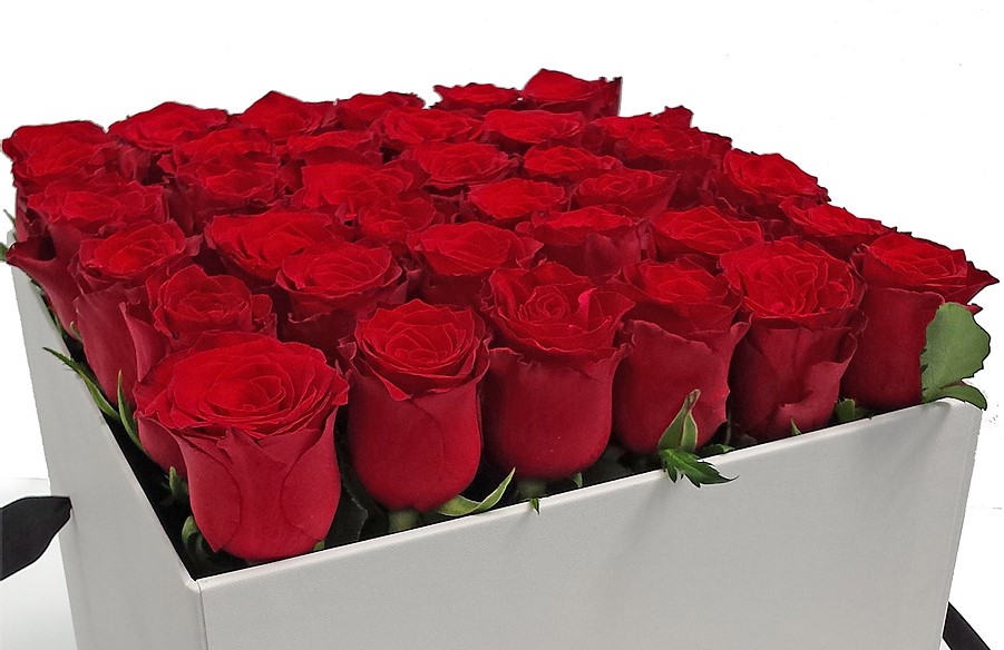 red-roses-small_01.jpg