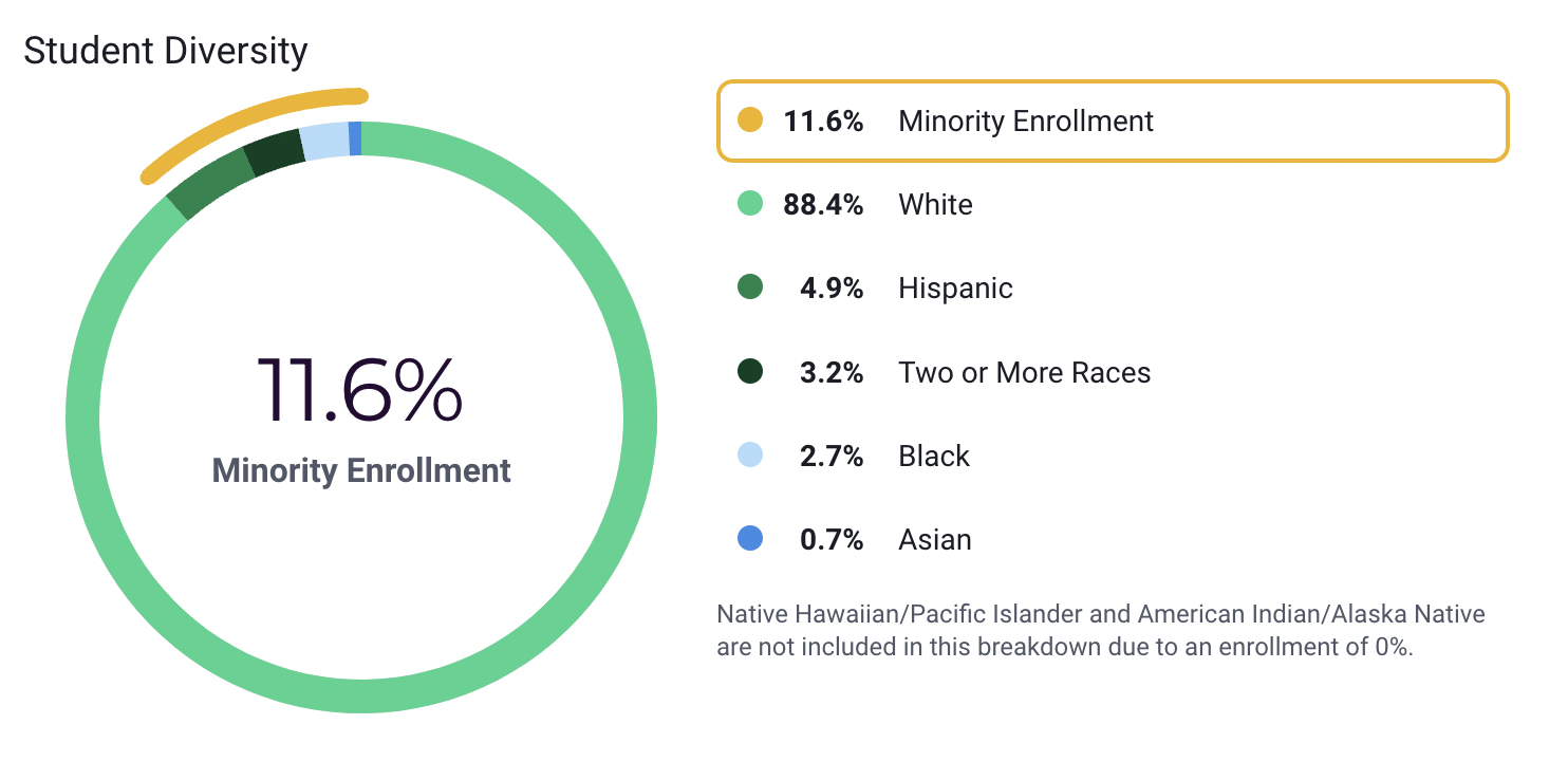 schooldemographics.png