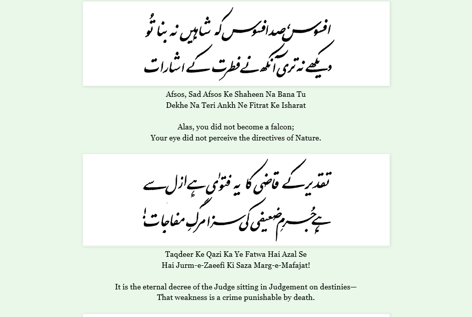 Screenshot 2023-04-12 at 12-00-27 (Bal-e-Jibril-163) Abbu-Al-Allama'ari.png