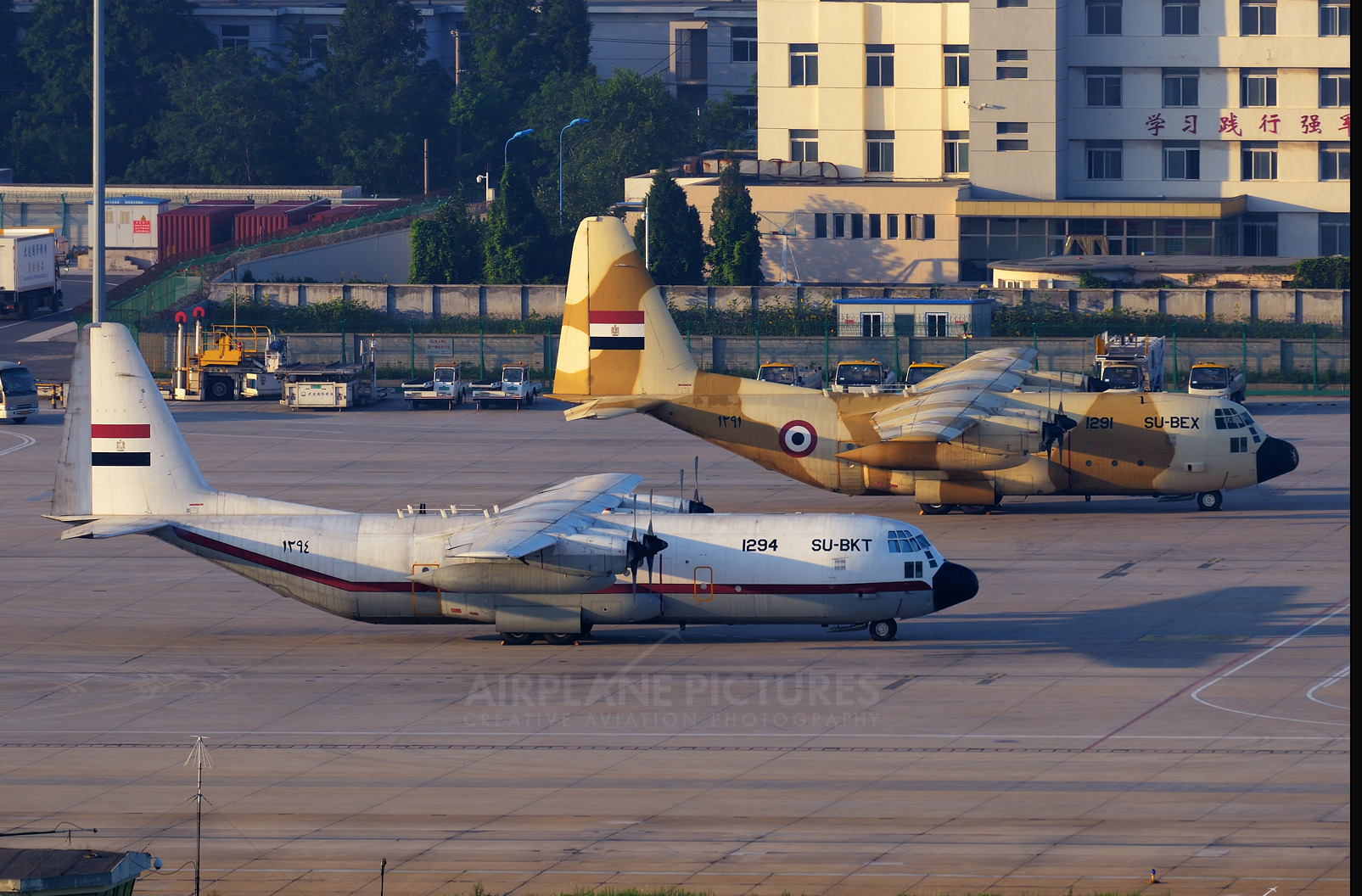 Screenshot_2020-07-28 Egypt - Air Force Lockheed C-130H Hercules photo by dlsunshy.jpg