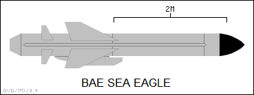 Sea_Eagle_anti-ship_missile_side-view_silhouette.png
