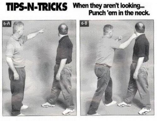 SELF_DEFENSE_PRO_TIP-s500x385-153271.jpg