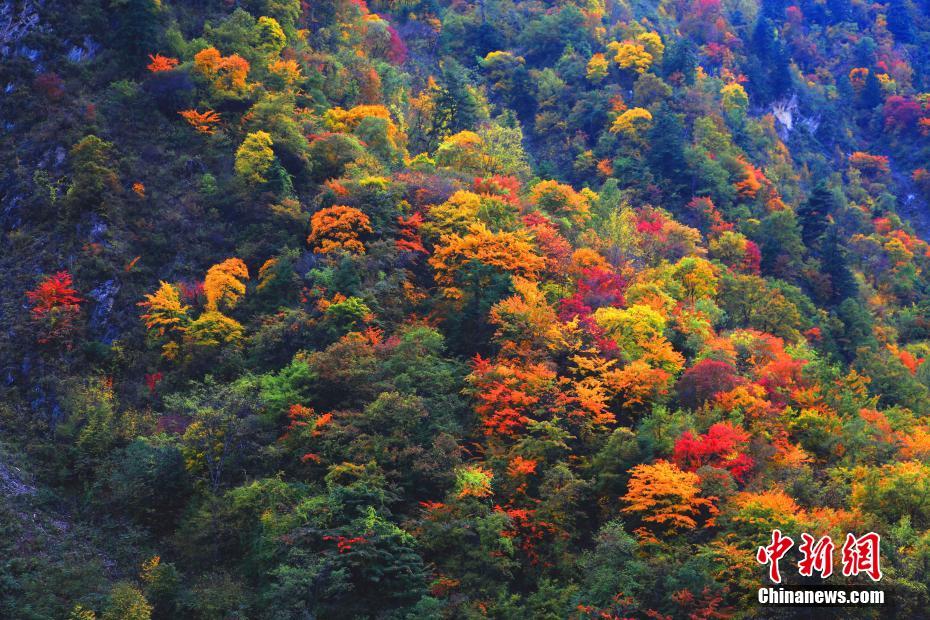 Sichuan,Autumn-color.(3).Heishui-county.jpg