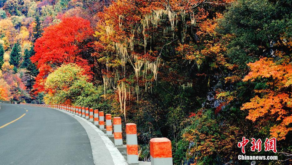 Sichuan,Autumn-color.(4).Heishui-county.jpg