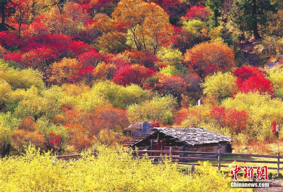 Sichuan,Autumn-color.(6).Heishui-county.jpg