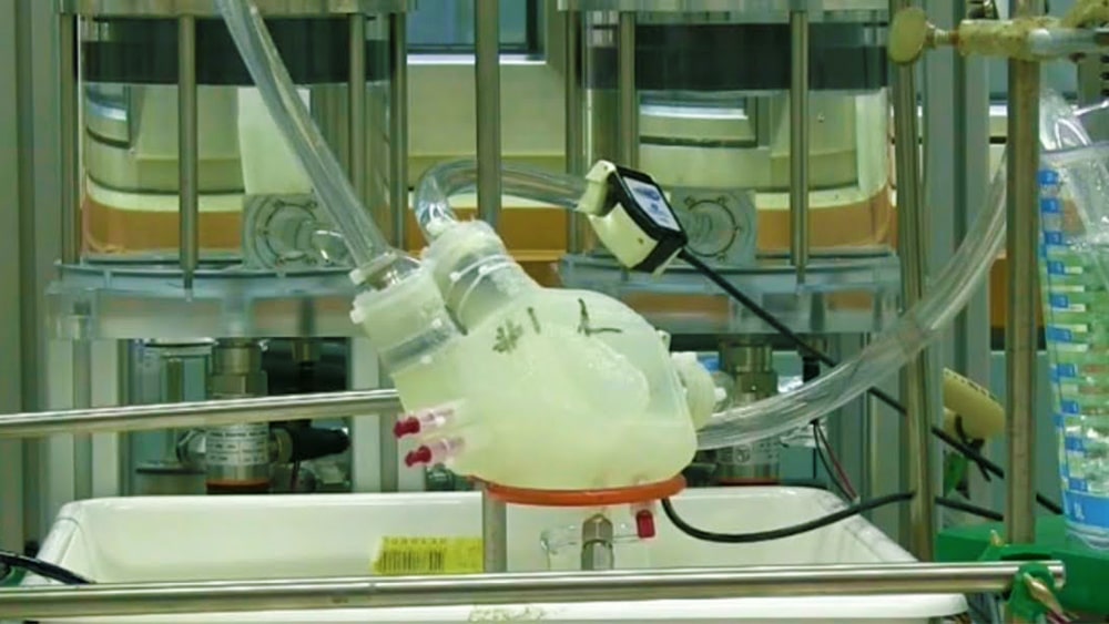 silicon-heart.jpg