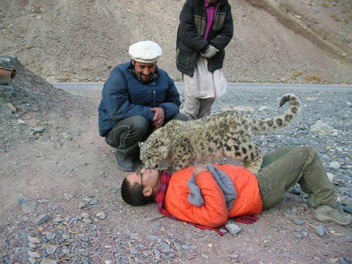 Snow-Leopard-Khunjerab-Region-Pakistan.jpg