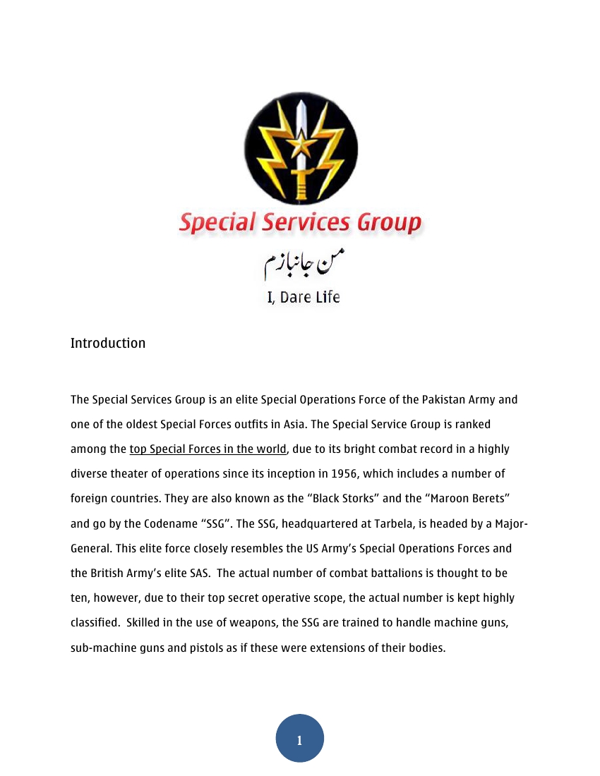 Special_Services_Group0001.jpg